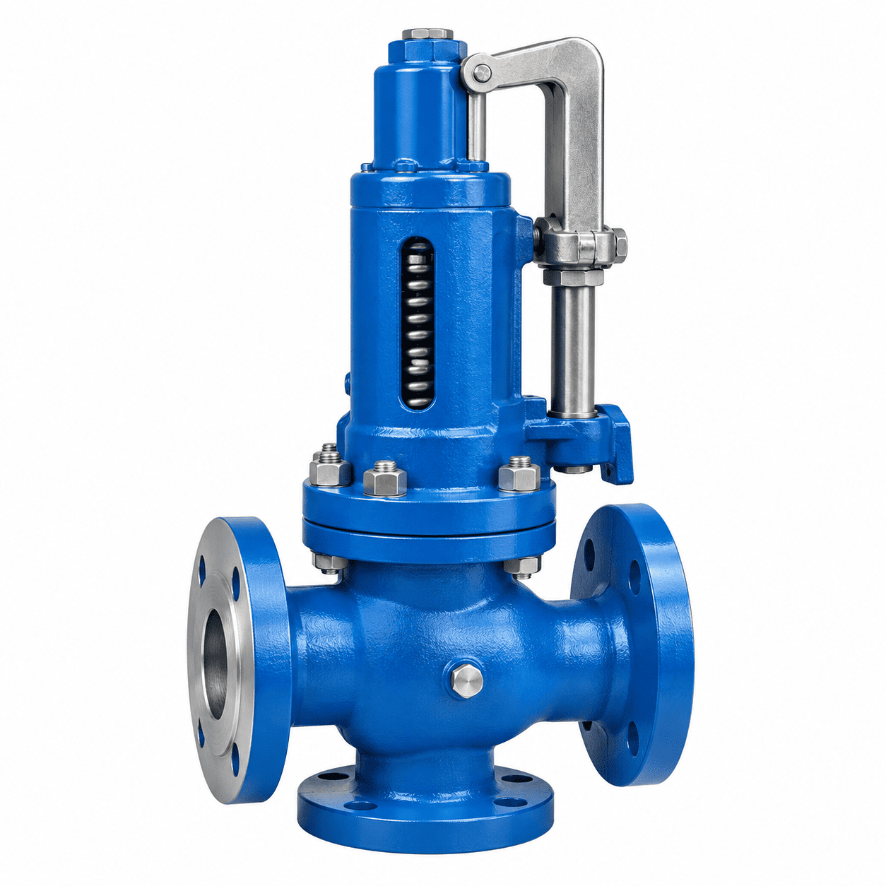 Safety Relief Valve (SRV)